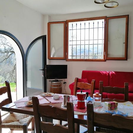 Casa Pancole Il Tinello Apartment คาวริเลีย ภายนอก รูปภาพ